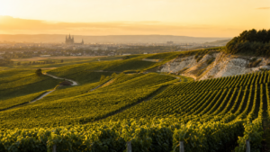 Champagne Region France Travel Guide 2026: Complete Guide — editorial image for this francevibe.com article